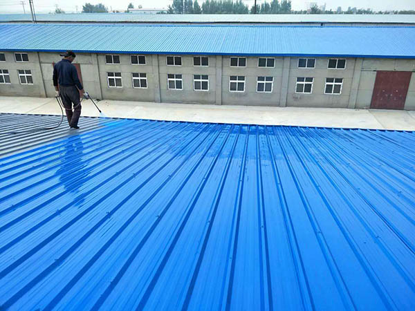 东兰 彩钢瓦喷漆翻新工业厂房、仓库